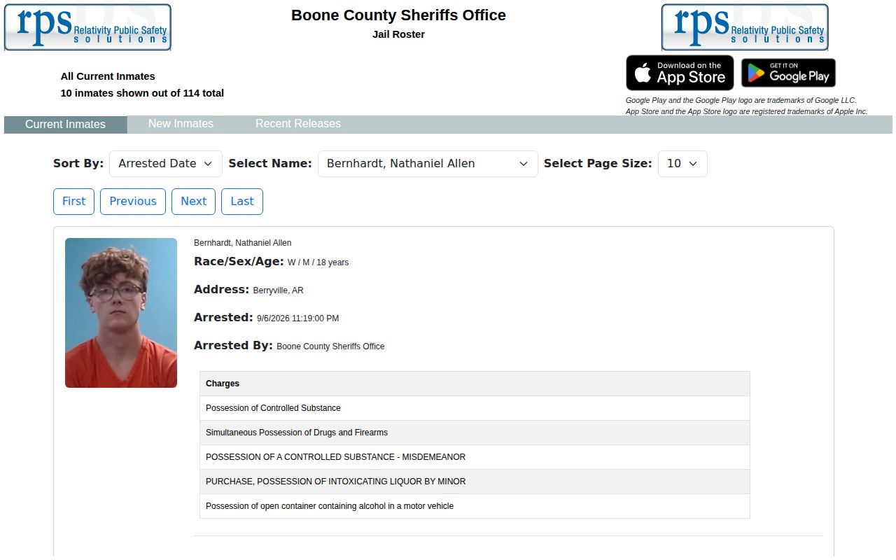 Boone County RPS current inmate roster interface